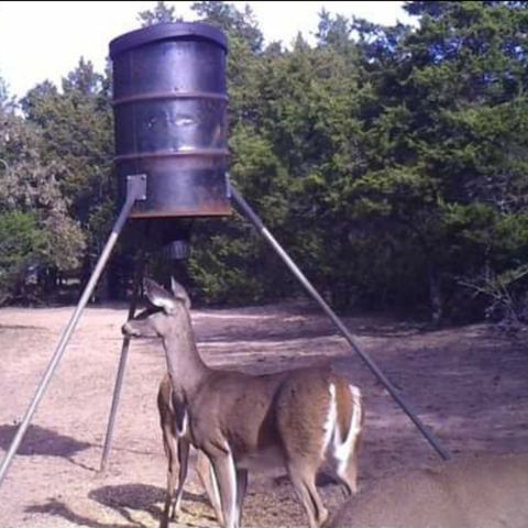 205 Farm to Market Road 373 North, St Jo, TX 76265