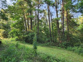 0 Governor Latham Circle, Point Blank, TX 77364