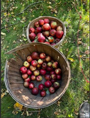 333 5th Avenue NE, Chisholm, MN 55719