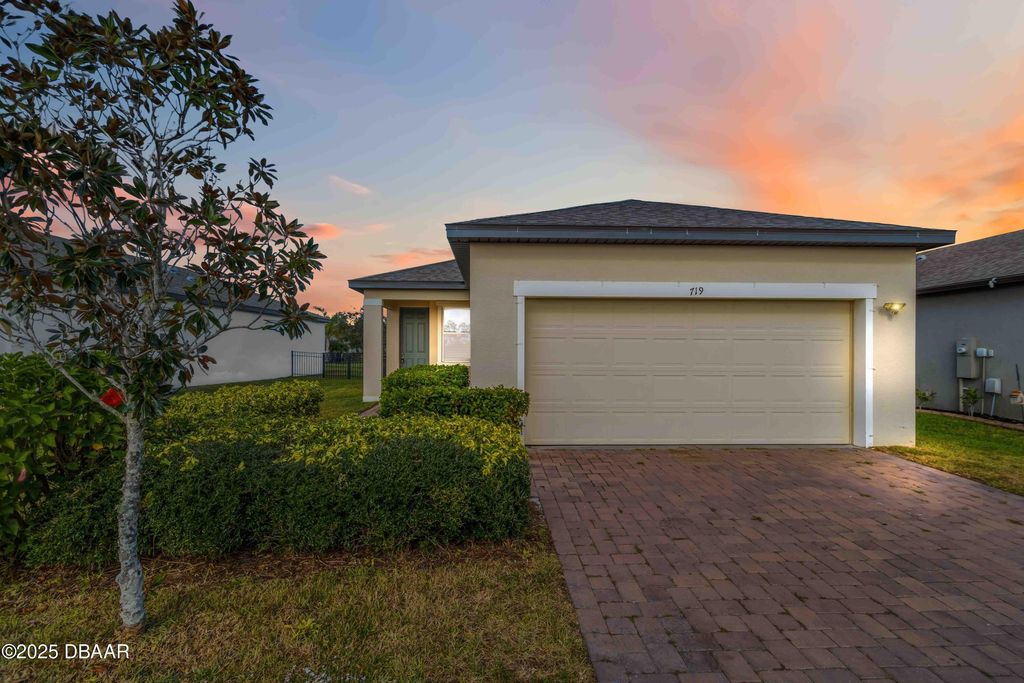 719 Ladyfish Lane, New Smyrna Beach, FL 32168
