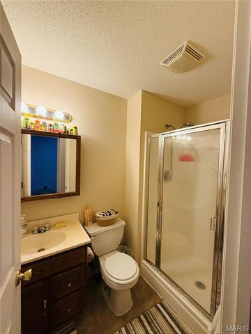 34113 Canoe Court, Brighton, IL 62012