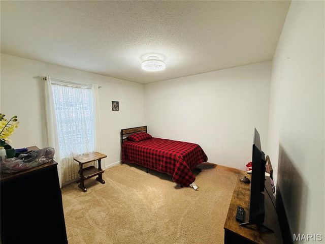 34113 Canoe Court, Brighton, IL 62012