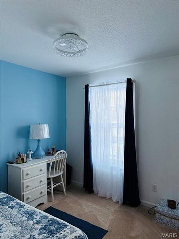 34113 Canoe Court, Brighton, IL 62012