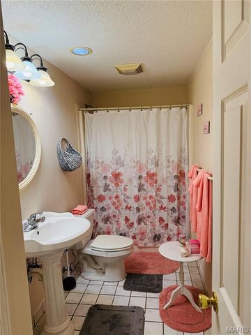 34113 Canoe Court, Brighton, IL 62012