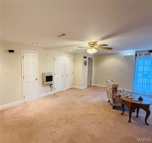 34113 Canoe Court, Brighton, IL 62012