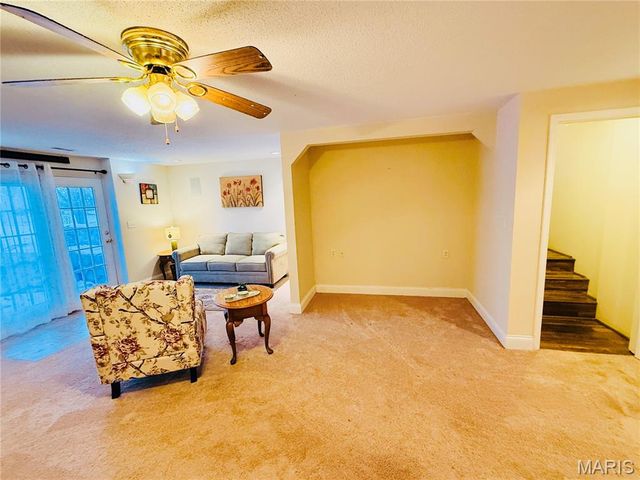 34113 Canoe Court, Brighton, IL 62012