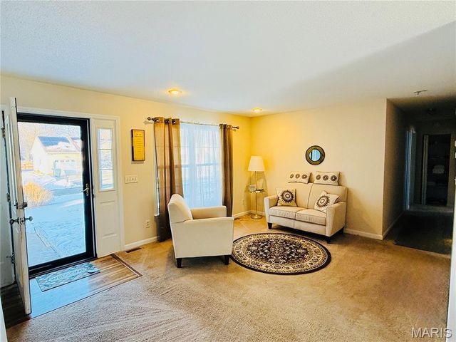 34113 Canoe Court, Brighton, IL 62012