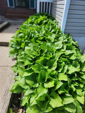 34113 Canoe Court, Brighton, IL 62012