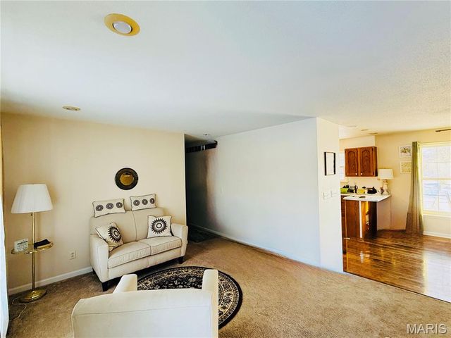 34113 Canoe Court, Brighton, IL 62012