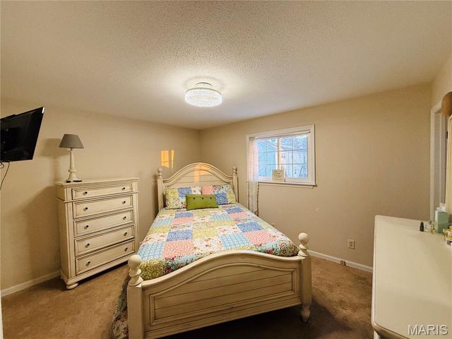 34113 Canoe Court, Brighton, IL 62012