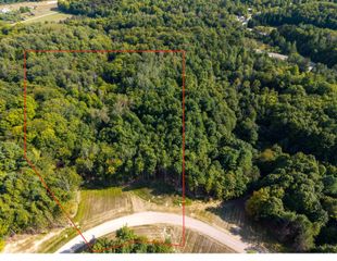 Lot #5 E Bellinger Road, Cedar, MI 49621