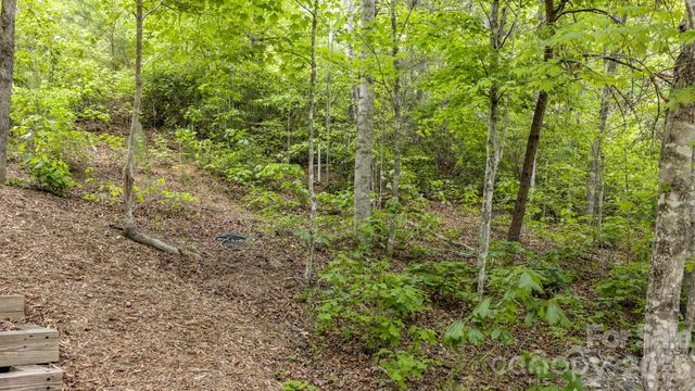 286 Holmstead Drive, Lake Lure, NC 28746