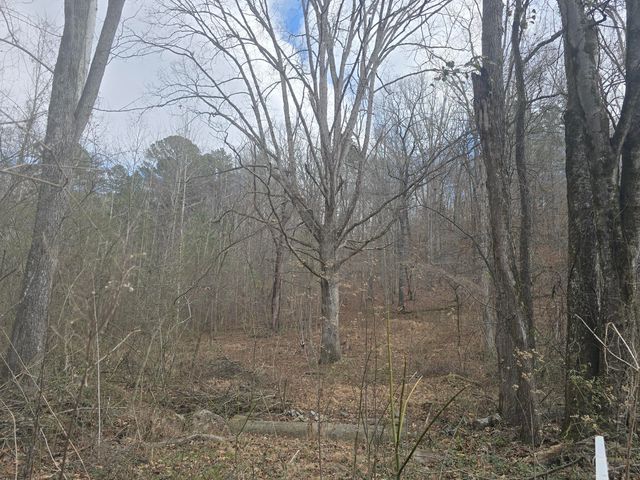 0 Cindy Lane, Ringgold, GA 30736