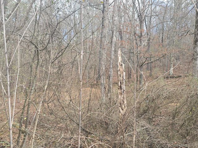 0 Cindy Lane, Ringgold, GA 30736