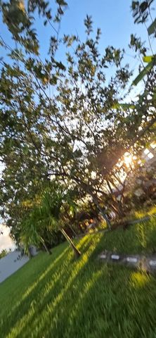 1 VENUS GARDENS, Trujillo Alto, PR 00976