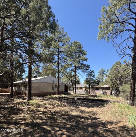 81 N 4TH Drive, Show Low, AZ 85901