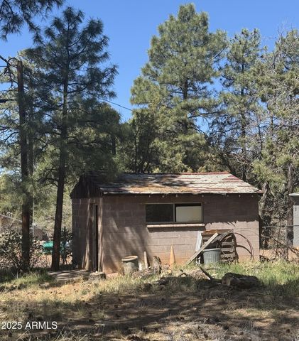 81 N 4TH Drive, Show Low, AZ 85901