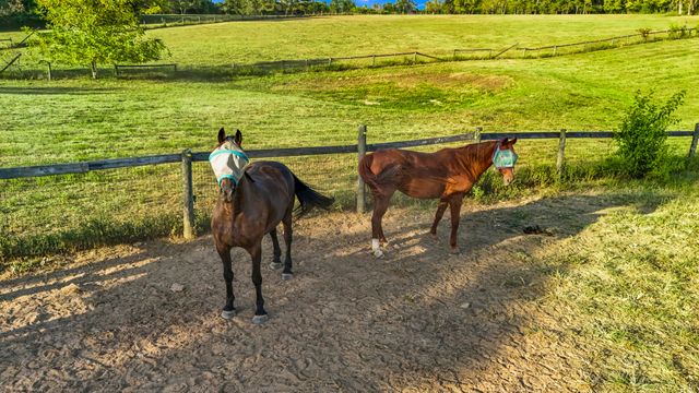 1150 Russell Cave Road, Cynthiana, KY 41031