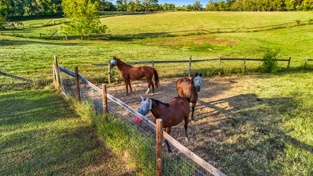 1150 Russell Cave Road, Cynthiana, KY 41031