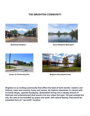 3923 Chatham Place, Brighton Twp, MI 48114