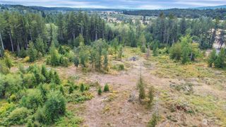 6319 133rd Avenue SW, Rochester, WA 98579