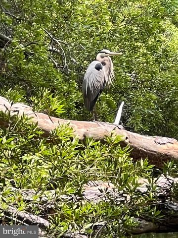 11928 W YARDARM DR, Berlin, MD 21811