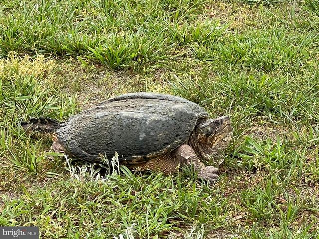 11928 W YARDARM DR, Berlin, MD 21811