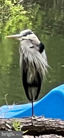 11928 W YARDARM DR, Berlin, MD 21811