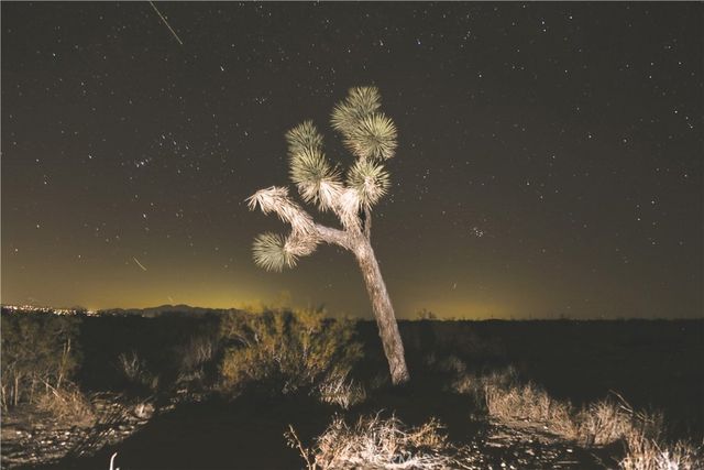 52552 Gamma Gulch, Pioneertown, CA 92284