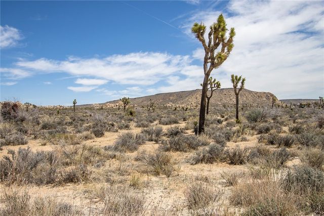 52552 Gamma Gulch, Pioneertown, CA 92284