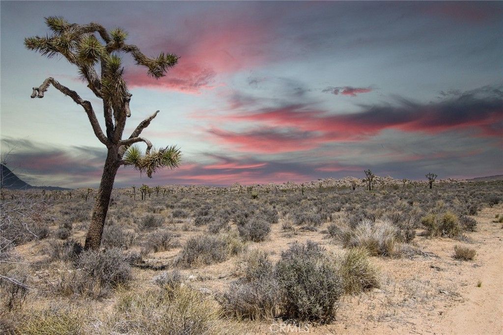 52552 Gamma Gulch, Pioneertown, CA 92284