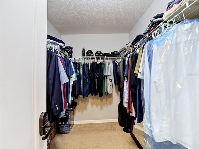 8615 ANDALUCIA FIELD DRIVE, Tampa, FL 33637