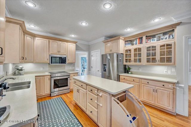 6488 E Island Lake Drive, East Lansing, MI 48823