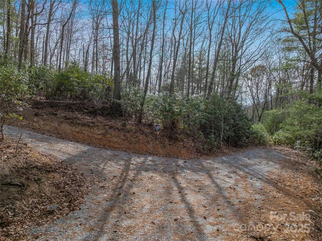 9999-17 Bob Barnwell Road, Asheville, NC 28803