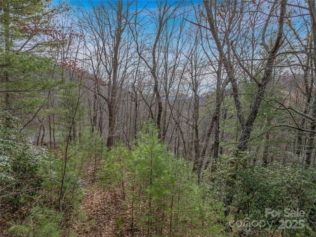 9999-17 Bob Barnwell Road, Asheville, NC 28803