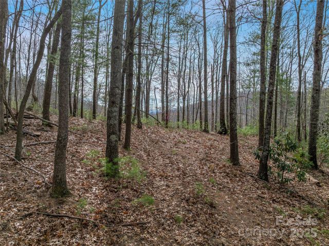 9999-17 Bob Barnwell Road, Asheville, NC 28803