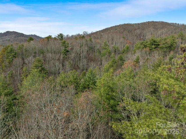 9999-17 Bob Barnwell Road, Asheville, NC 28803