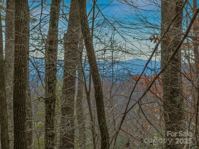 9999-17 Bob Barnwell Road, Asheville, NC 28803