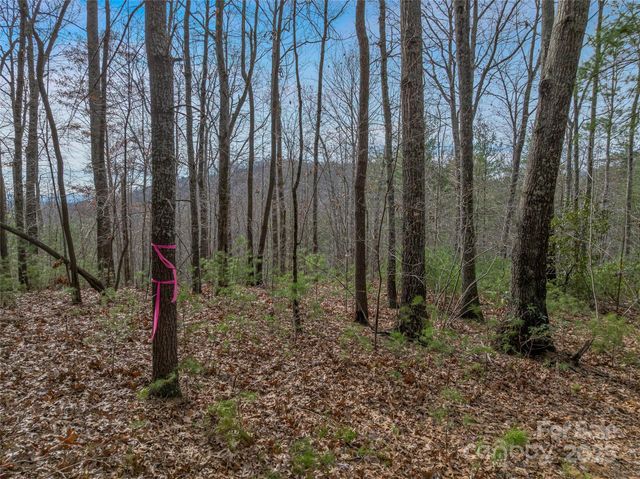 9999-17 Bob Barnwell Road, Asheville, NC 28803