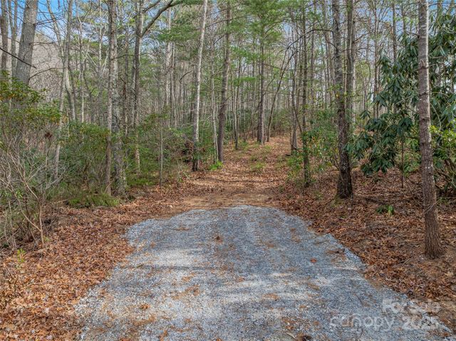 9999-17 Bob Barnwell Road, Asheville, NC 28803