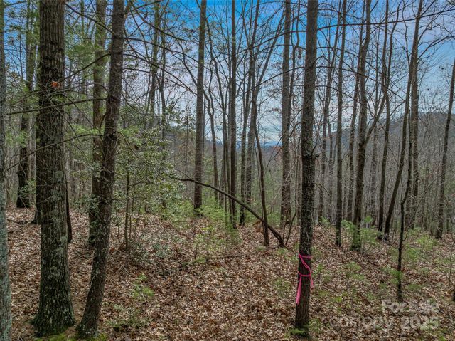 9999-17 Bob Barnwell Road, Asheville, NC 28803