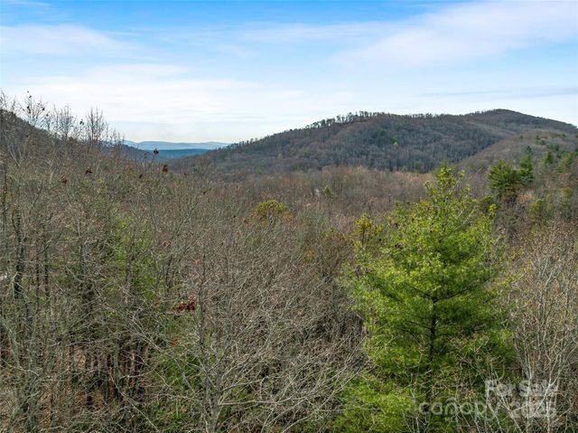 9999-17 Bob Barnwell Road, Asheville, NC 28803