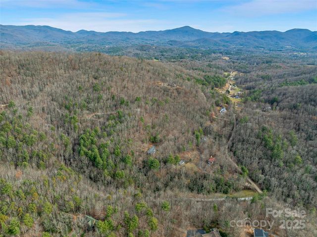 9999-17 Bob Barnwell Road, Asheville, NC 28803