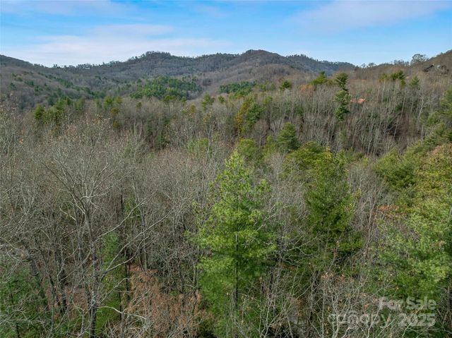 9999-17 Bob Barnwell Road, Asheville, NC 28803