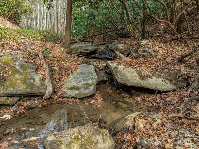 9999-17 Bob Barnwell Road, Asheville, NC 28803