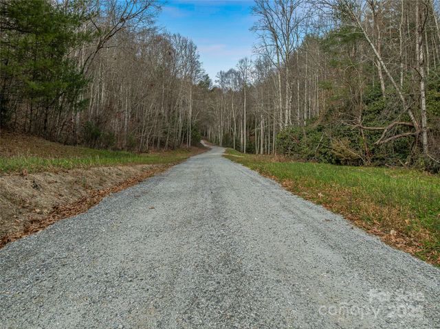 9999-17 Bob Barnwell Road, Asheville, NC 28803