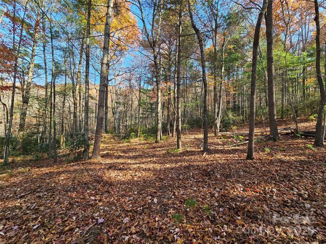 9999-17 Bob Barnwell Road, Asheville, NC 28803