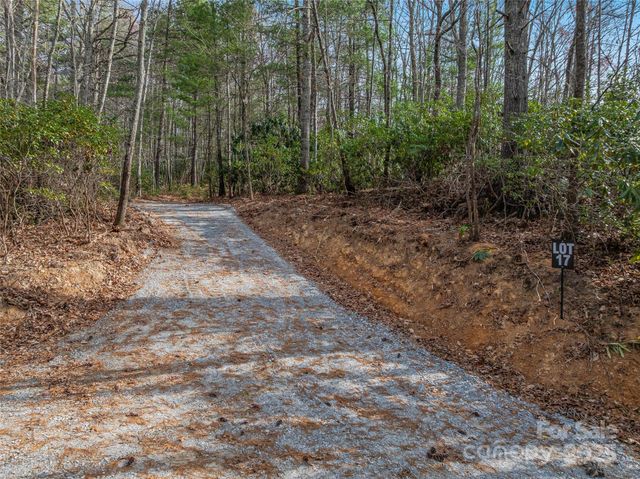 9999-17 Bob Barnwell Road, Asheville, NC 28803