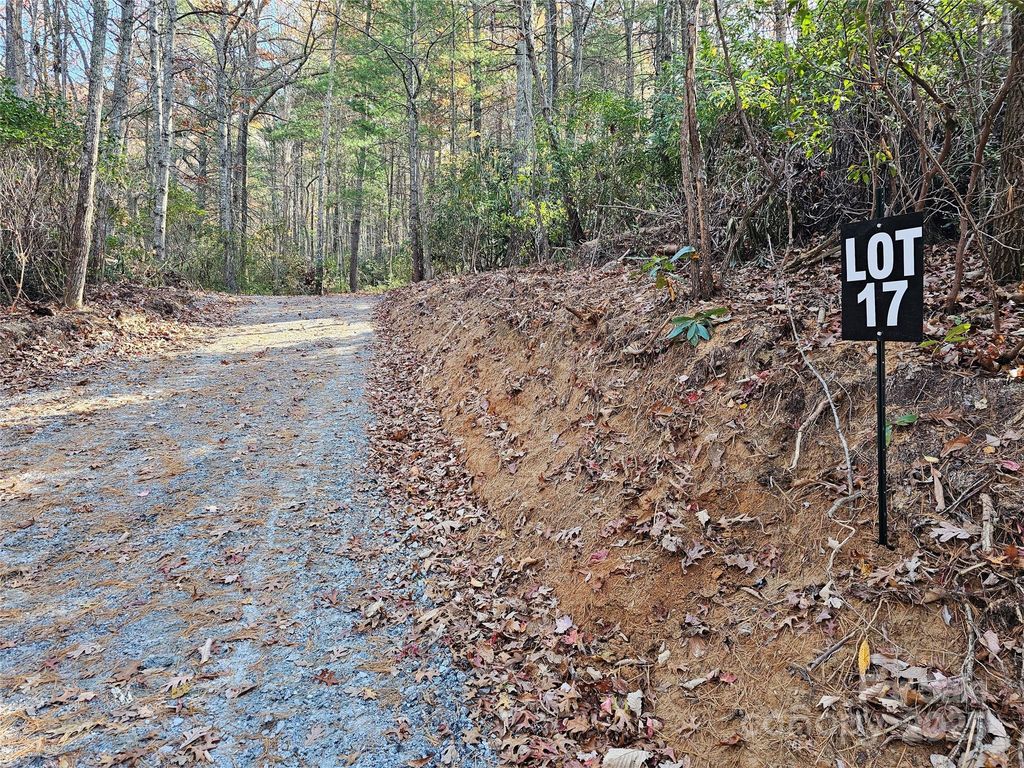 9999-17 Bob Barnwell Road, Asheville, NC 28803