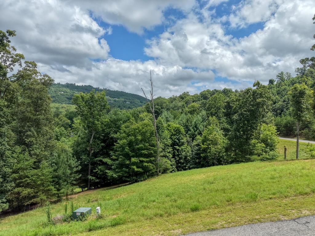 Lot 118 Riverside Lk Nottely, Blairsville, GA 30512